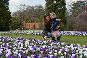 The RHS Gardens get growing for National Gardening Week