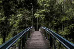 6 ways to connect to our earth