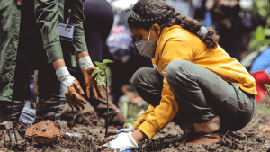 What Islam Says About the Environment and Sustainability