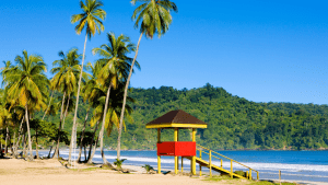 Your One-Stop Travel Guide For Trinidad and Tobago
