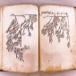 islamic manuscripts