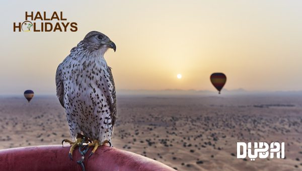 Discover Luxurious Multi-Centre Escapes! Book Now with HalalHolidays.co.uk!