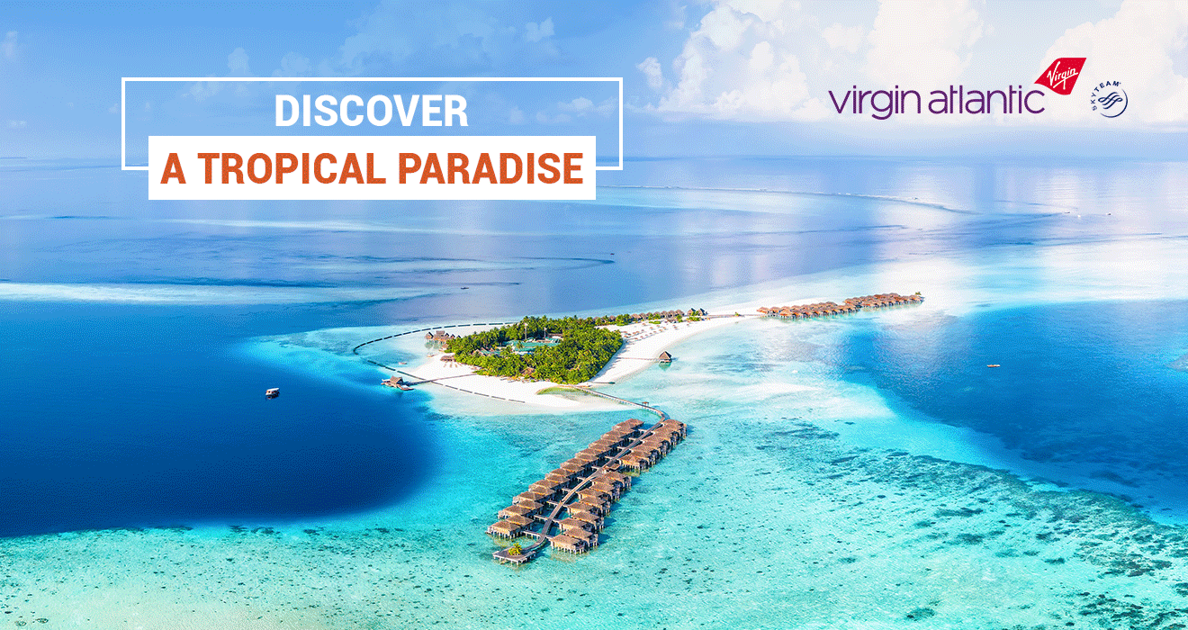 Discover a tropical paradise
