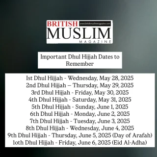 Instagram post 18046056191431152